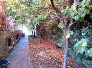 Jardín